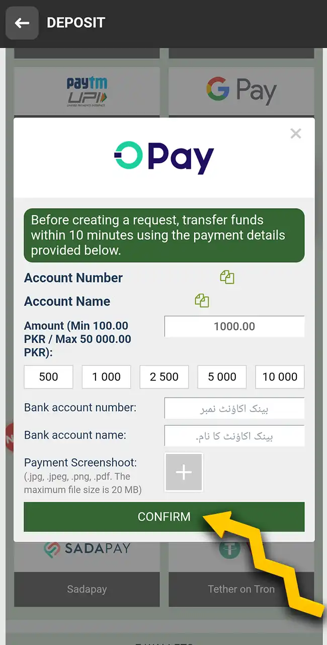 Fund your balance securely using local Pakistani methods.